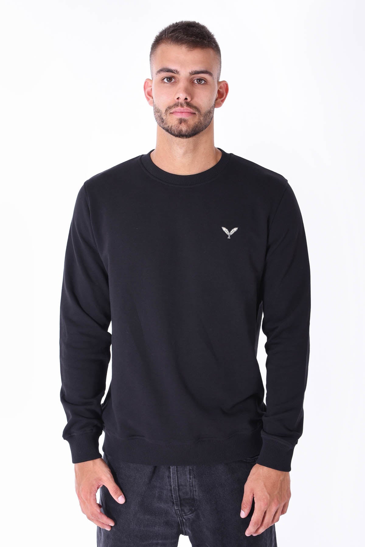 Color 020 - 0 - DJG_8066.jpg