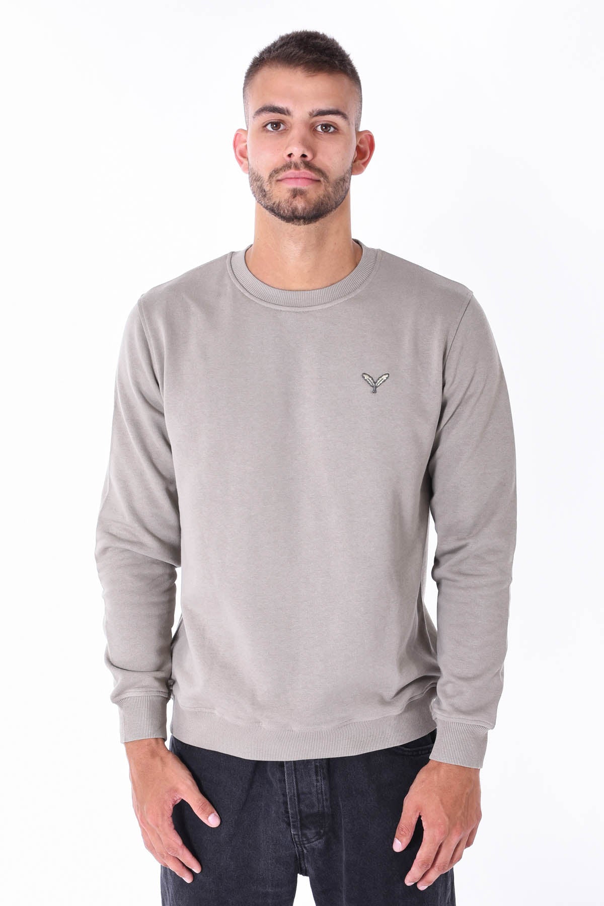 Color 040 - 0 - DJG_8042.jpg