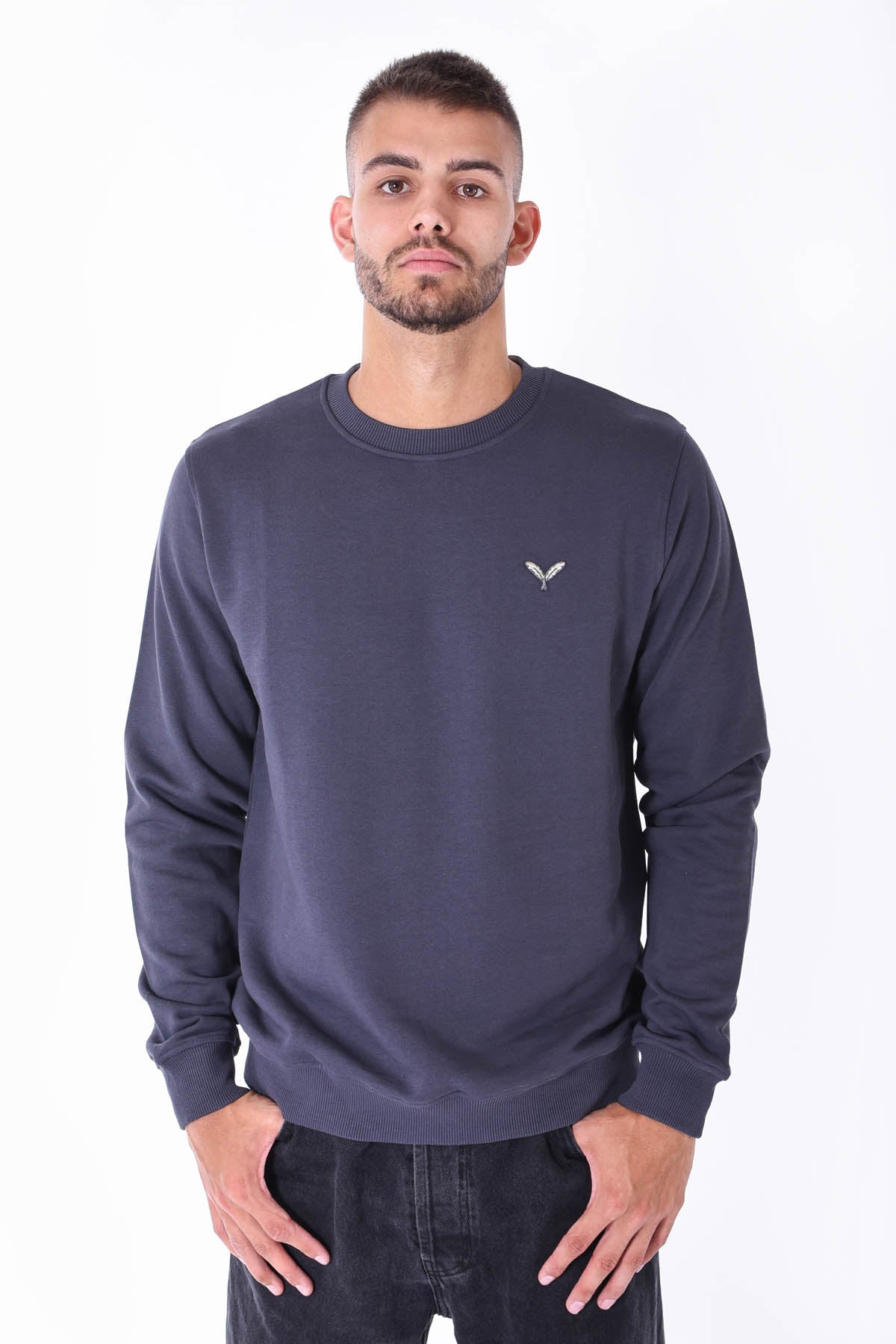 Color 517 - 0 - DJG_8053.jpg