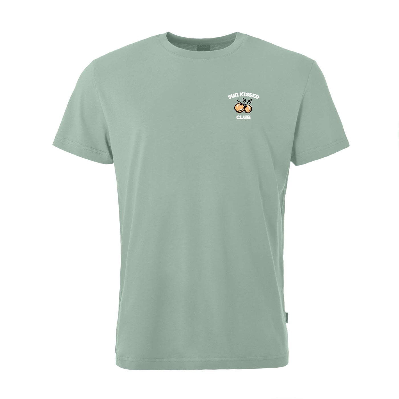 Color 309 - 0 - BTS6-309-sunkissed.jpg