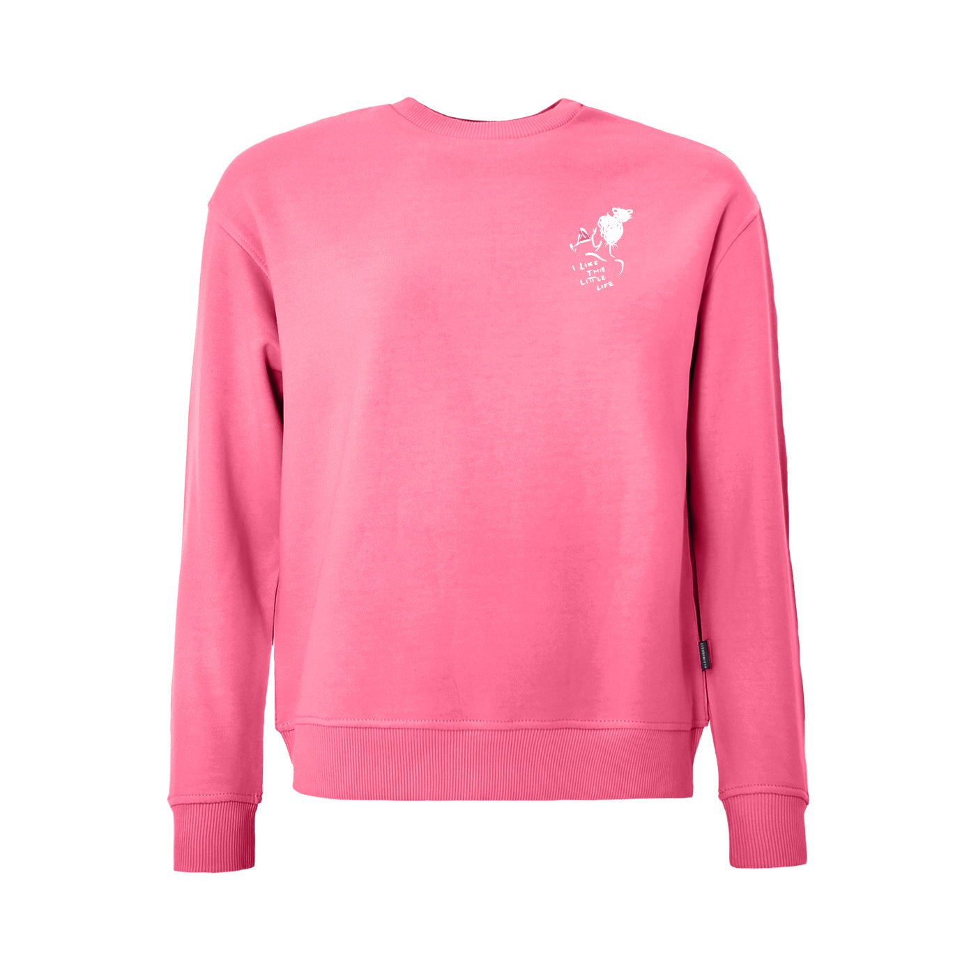 Color 306 - 0 - GCN3-306-LittleLife.jpg