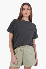 Color 382 - 0 - DJG_2405.JPG