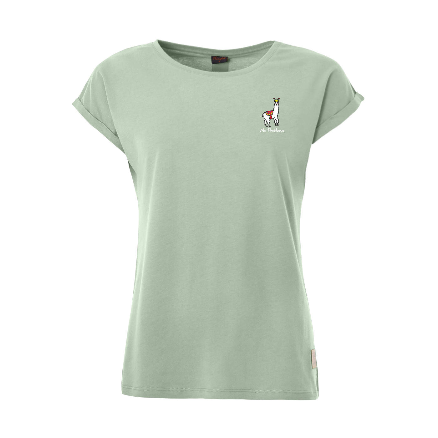 Color 309 - 0 - GTS1-309-Noproblema.jpg