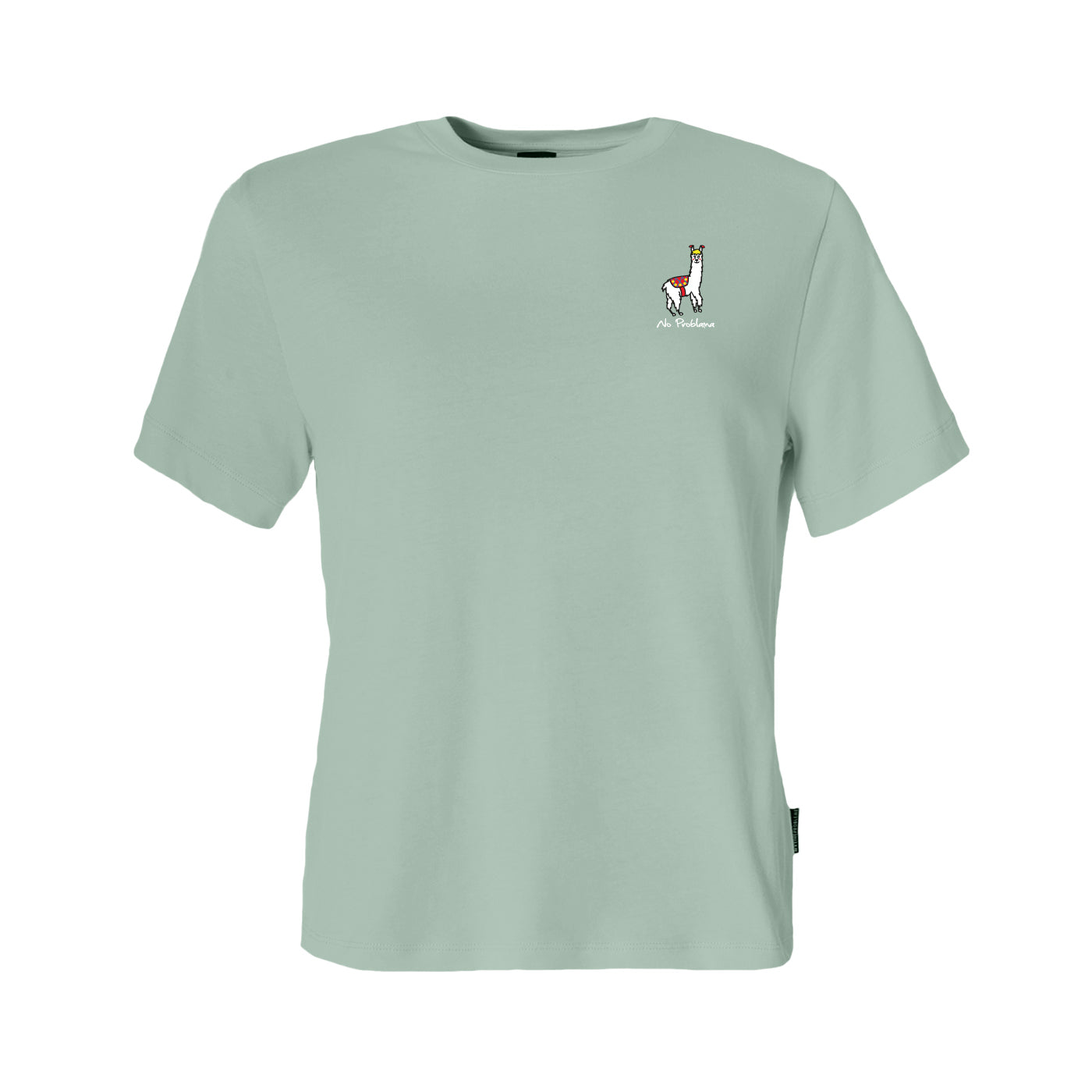 Color 309 - 0 - GTS7-309-noproblama.jpg