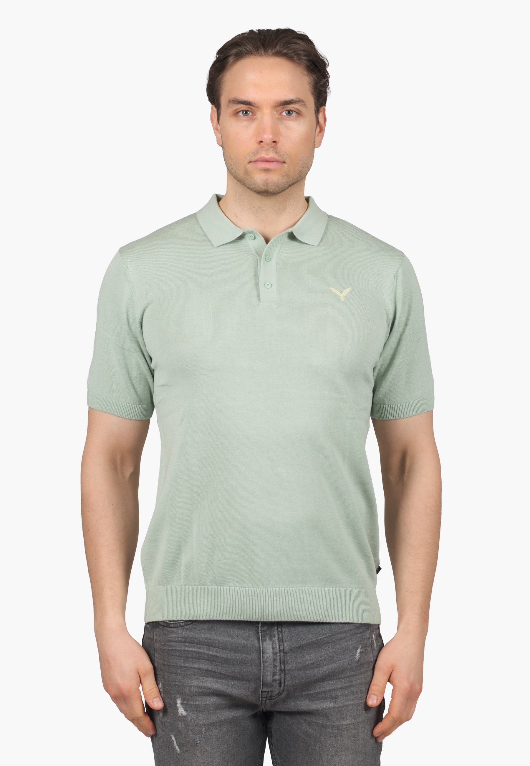 Color 309 - 0 - SIGNATURE-BASIC-POLO-matcha-green02.jpg