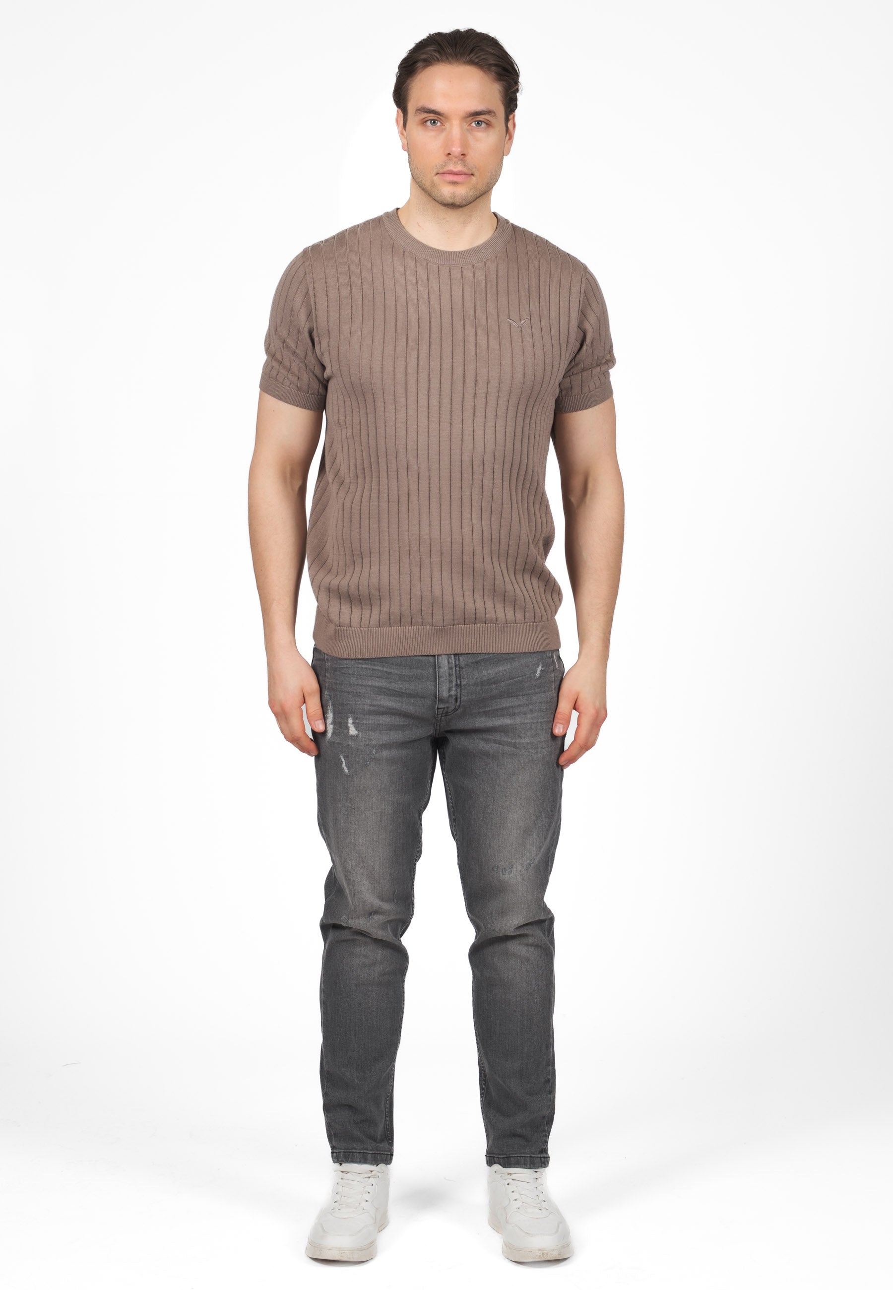 Color 303 - 0 - SIGNATURE-STRICK-T-SHIRT-taupe01.jpg