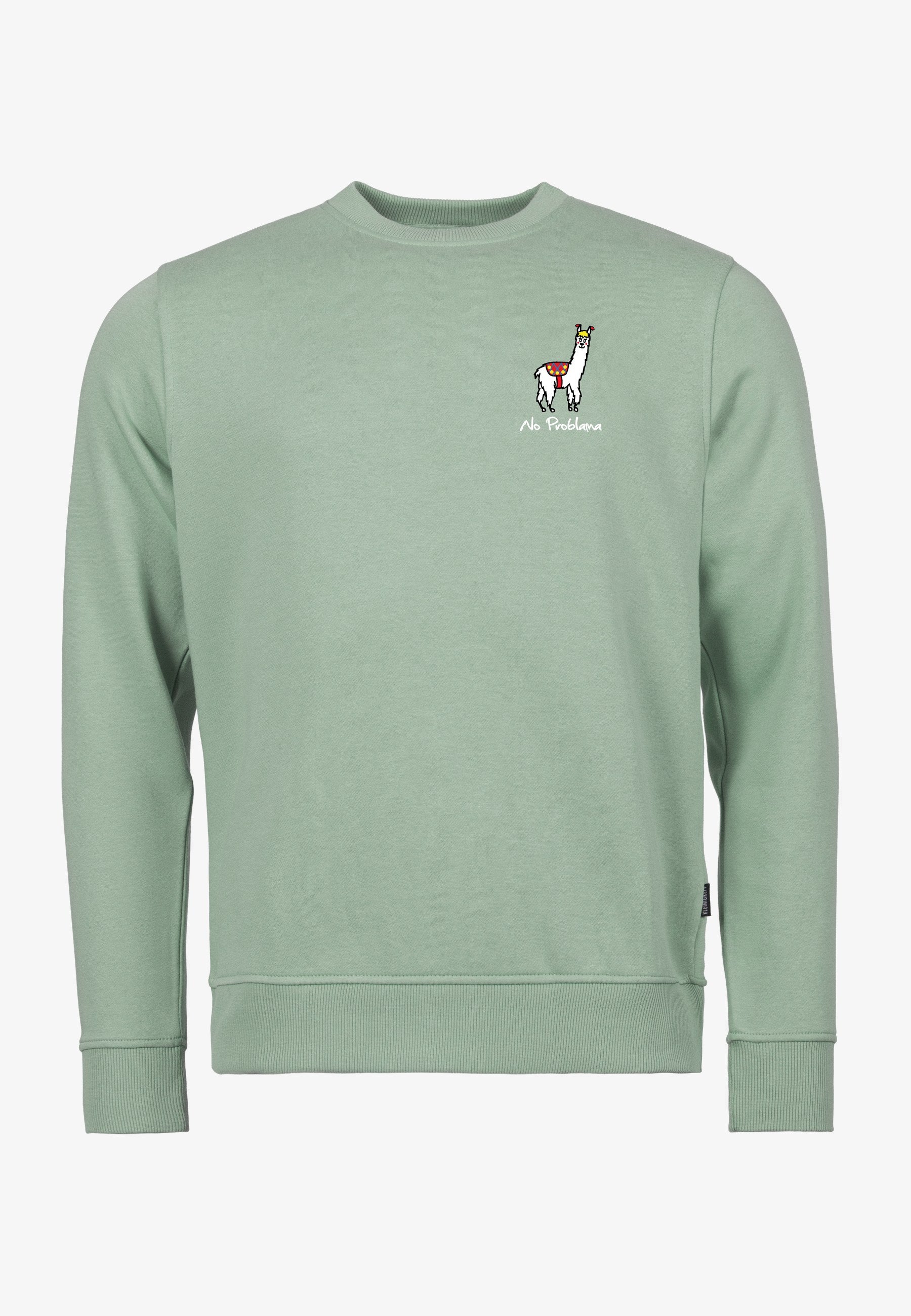 Color 309 - 0 - bcn3-309-no-problama.jpg