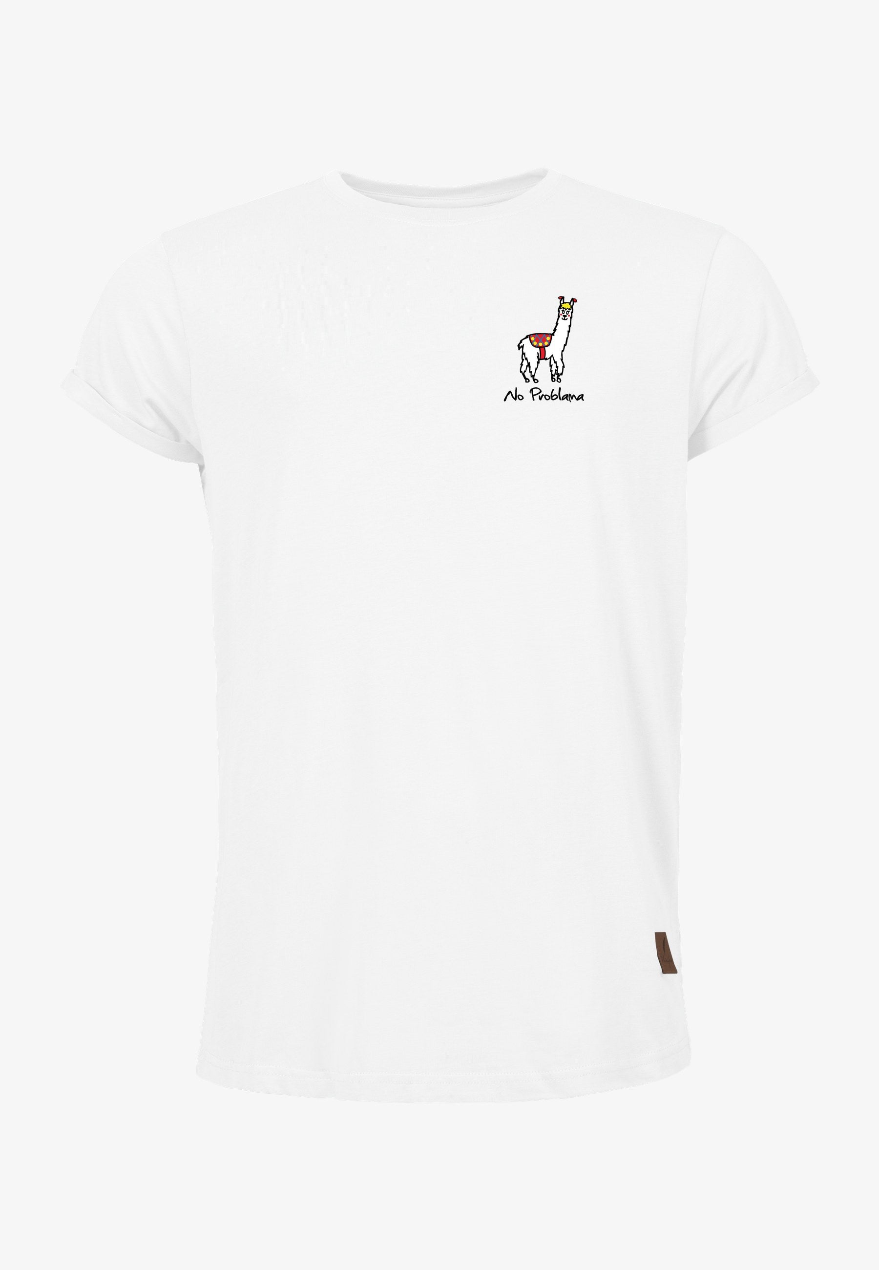 Color 010 - 0 - bts1-010-no-problama.jpg