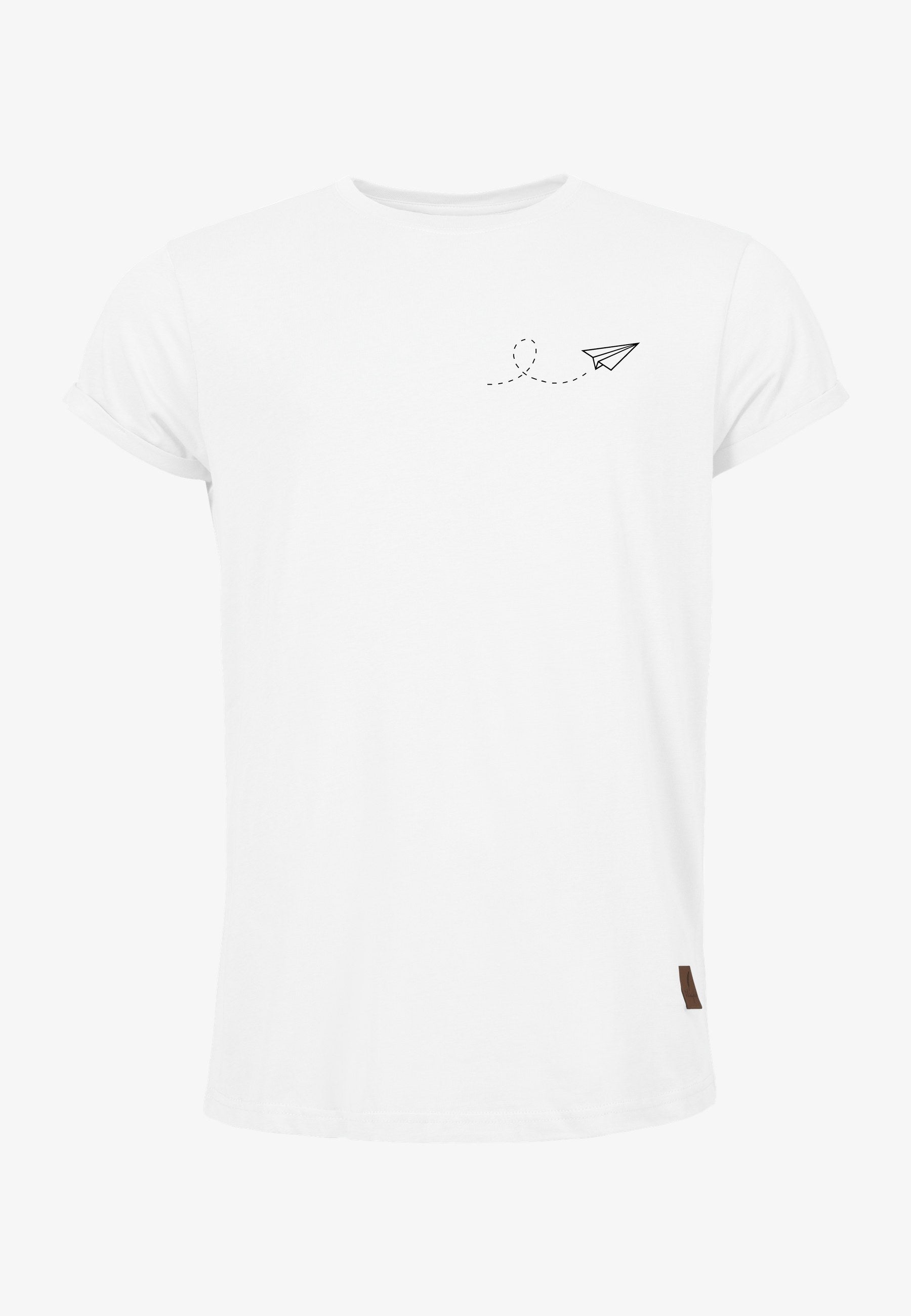 Color 010 - 0 - bts1-010-papierflieger.jpg