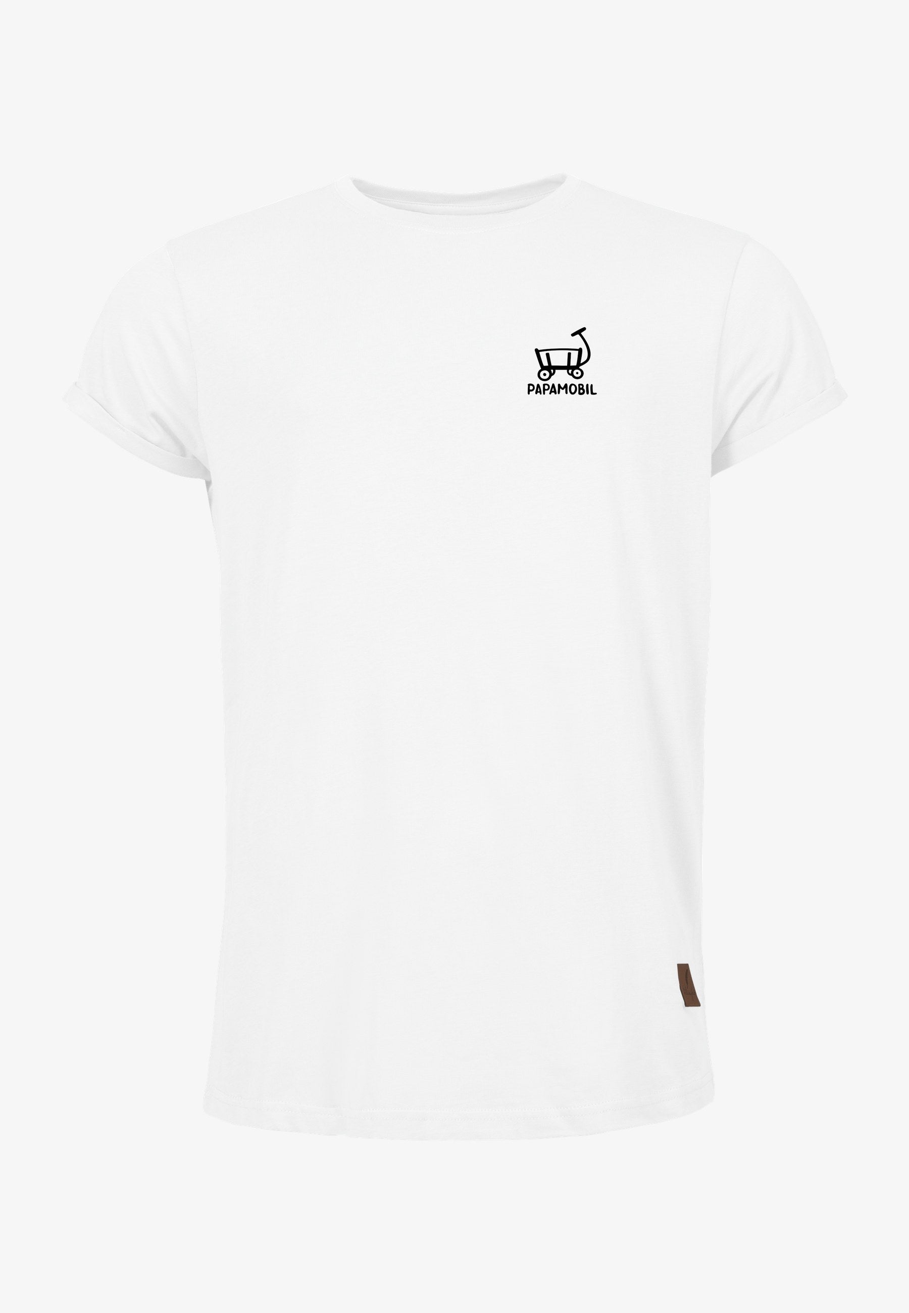 Color 010 - 0 - bts1-010-team-papamobil.jpg