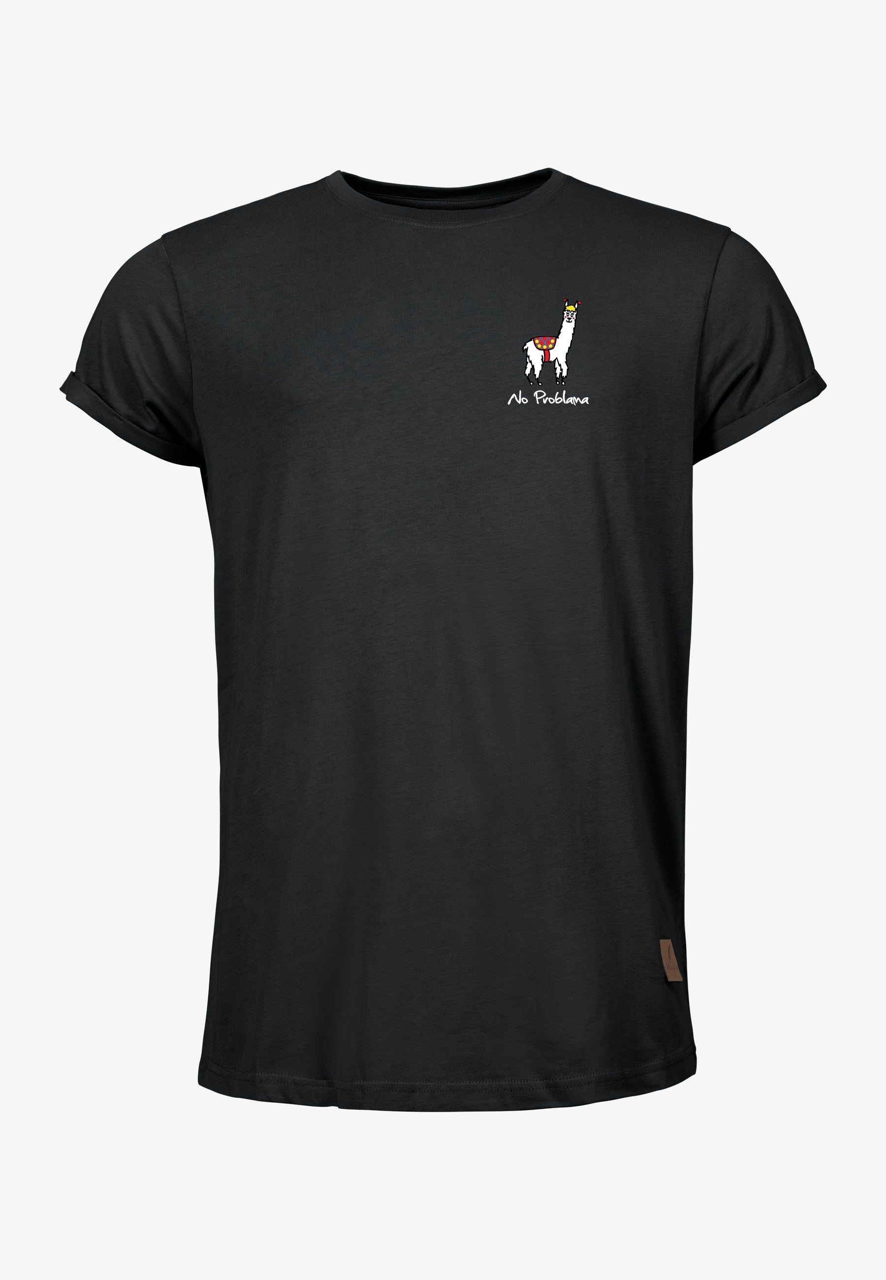 Color 020 - 0 - bts1-020-no-problama.jpg