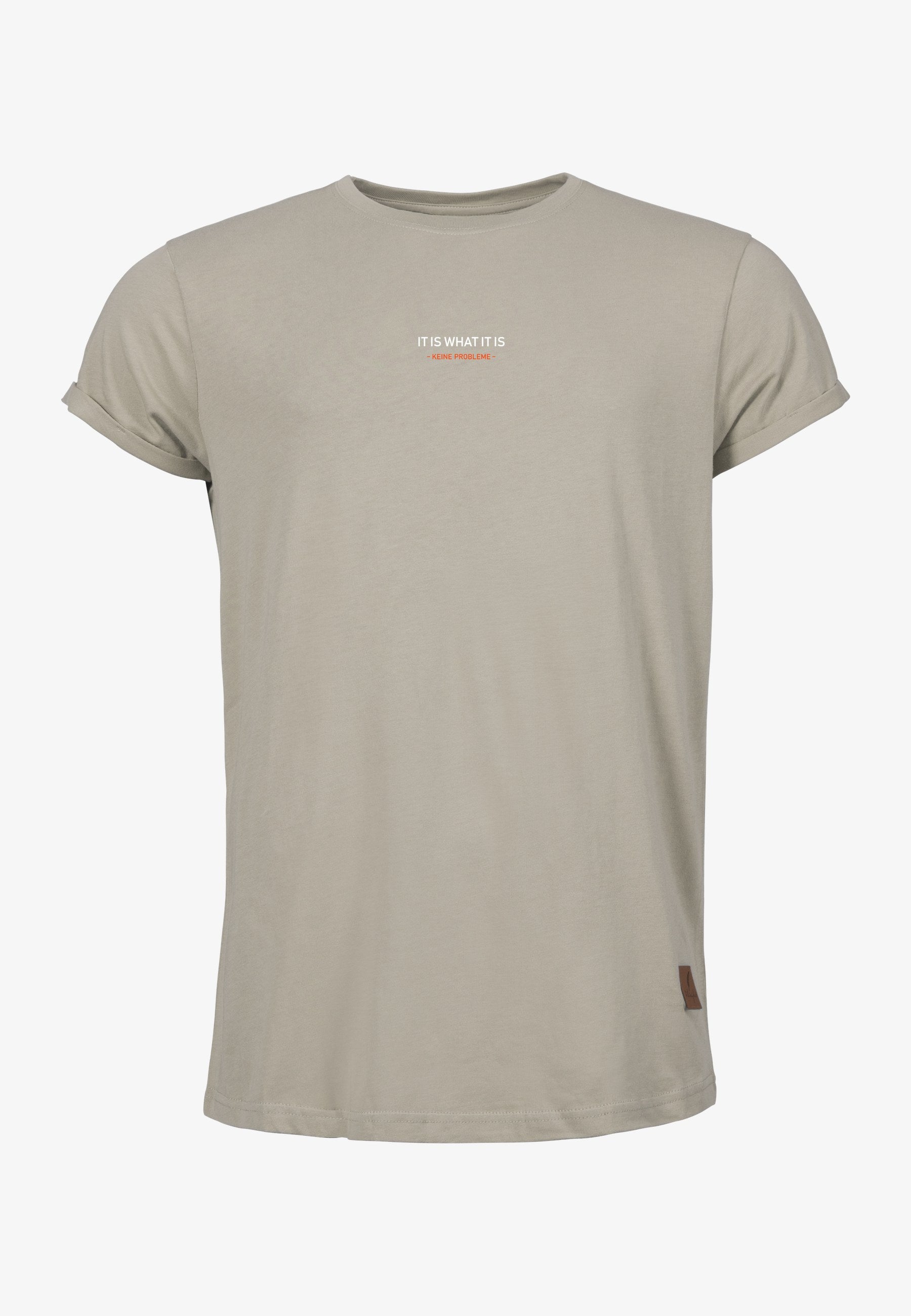 Color 040 - 0 - bts1-040-it-is-what-it-is.jpg