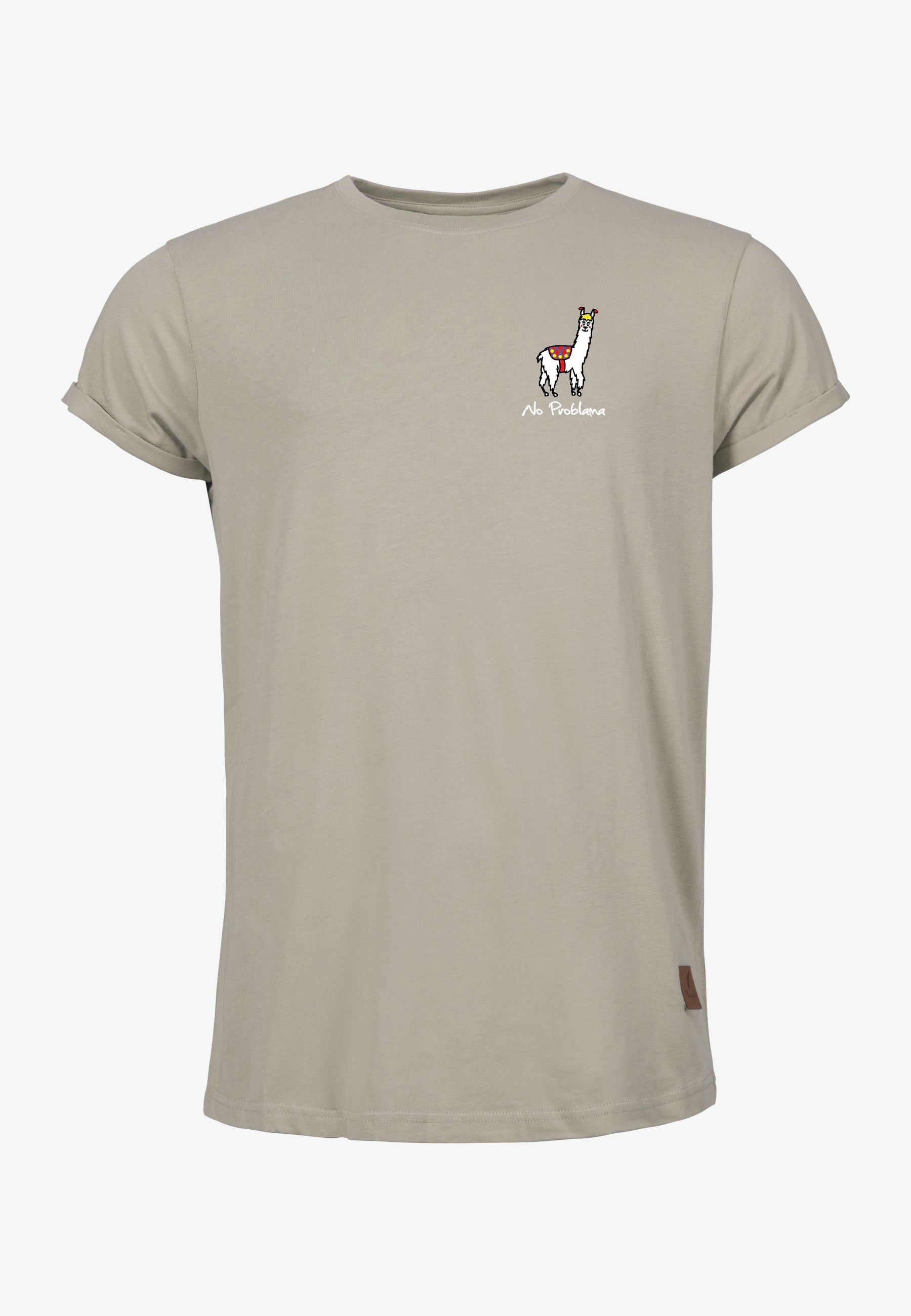 Color 040 - 0 - bts1-040-no-problama.jpg