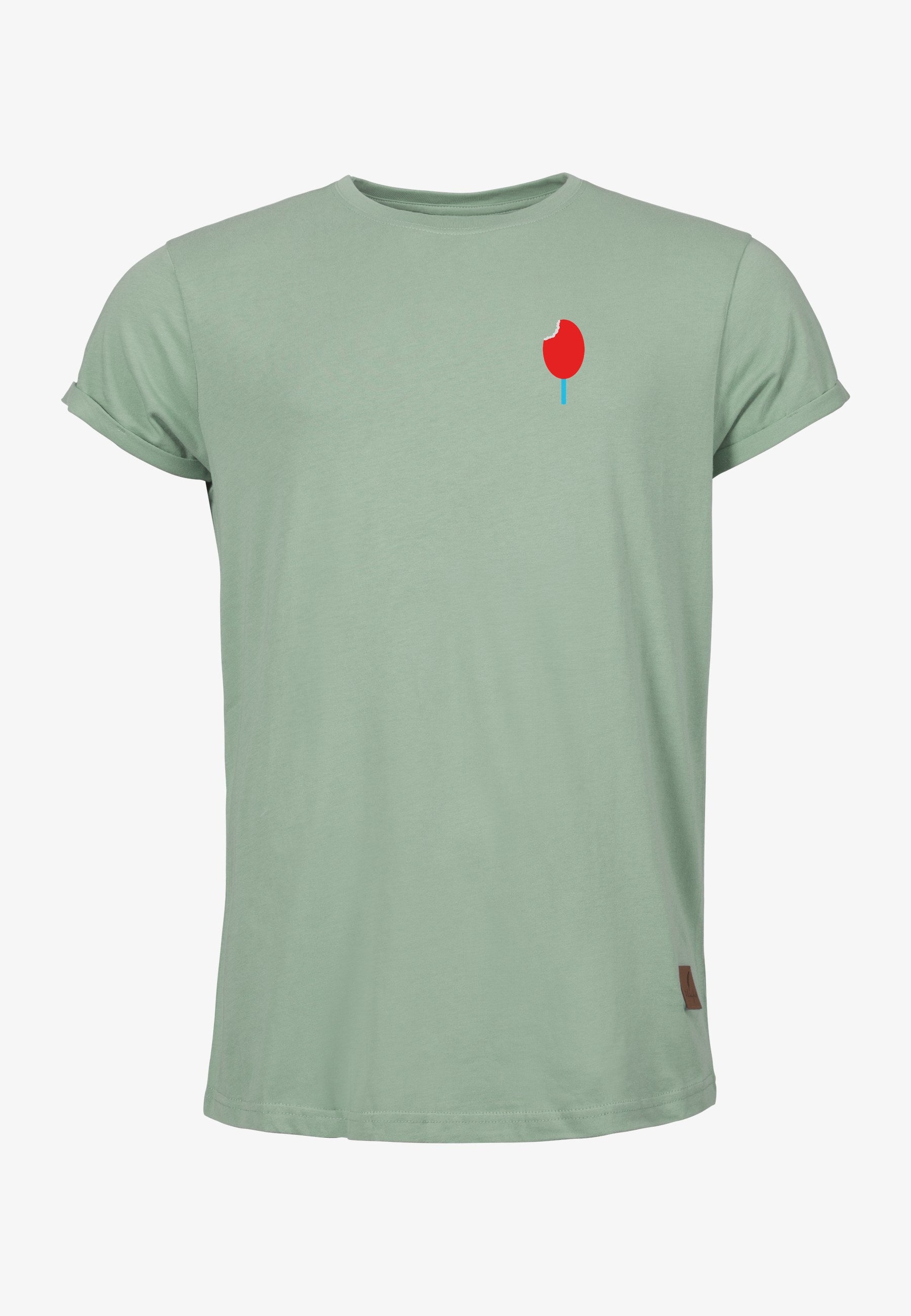 Color 309 - 0 - bts1-309-baem-baem.jpg