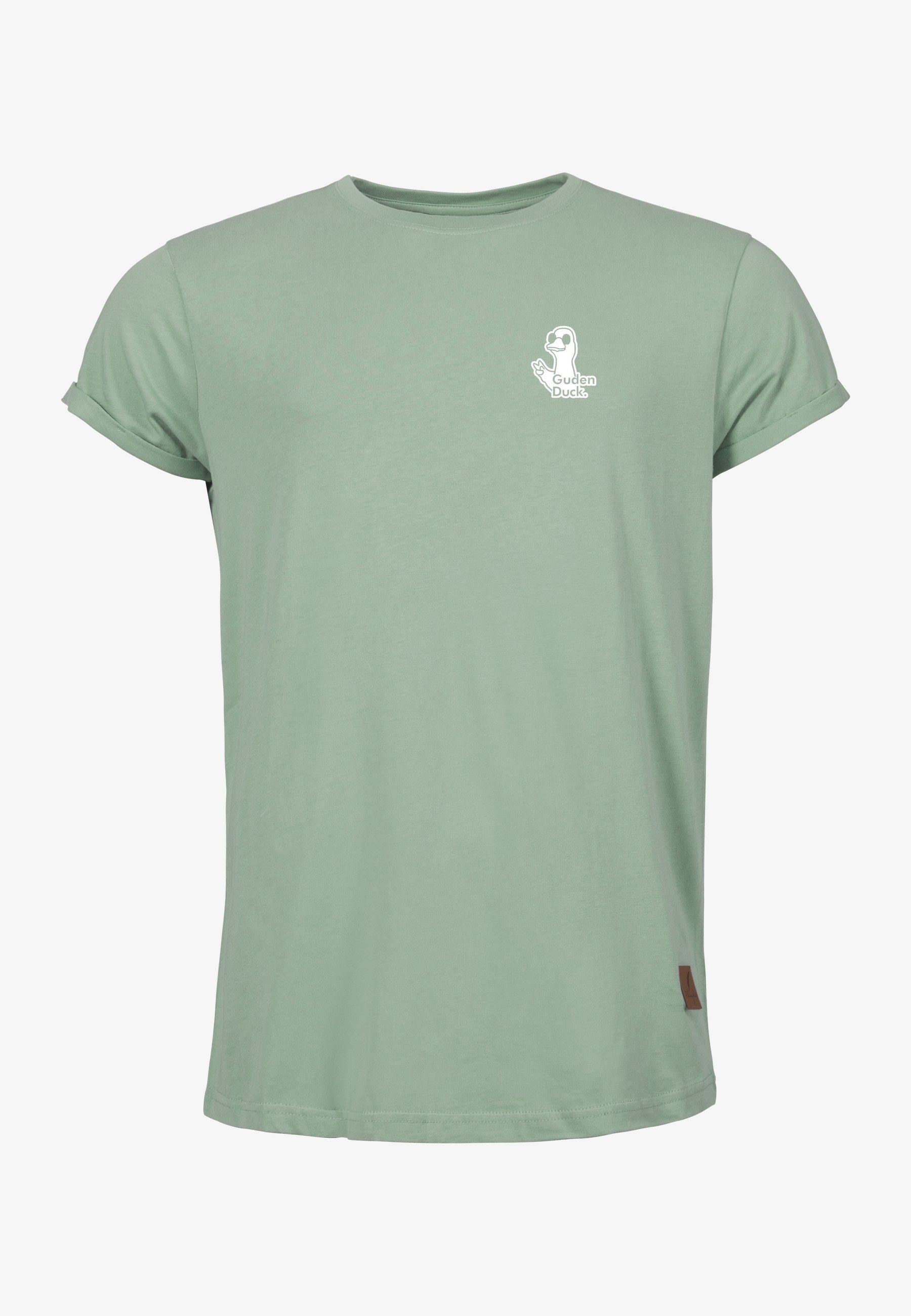 Color 309 - 0 - bts1-309-guden-duck.jpg