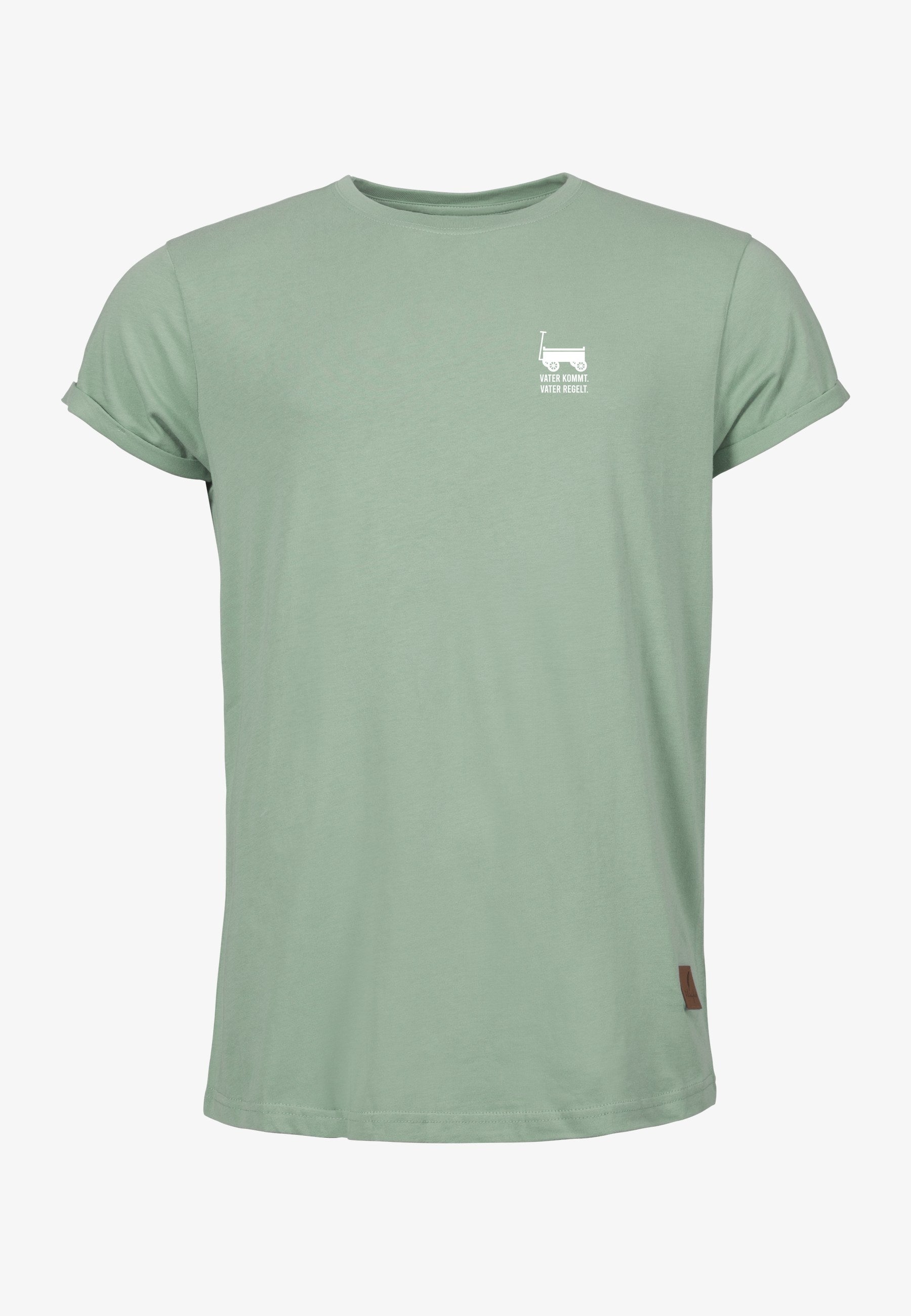 Color 309 - 0 - bts1-309-vater-kommt-vater-regelt.jpg