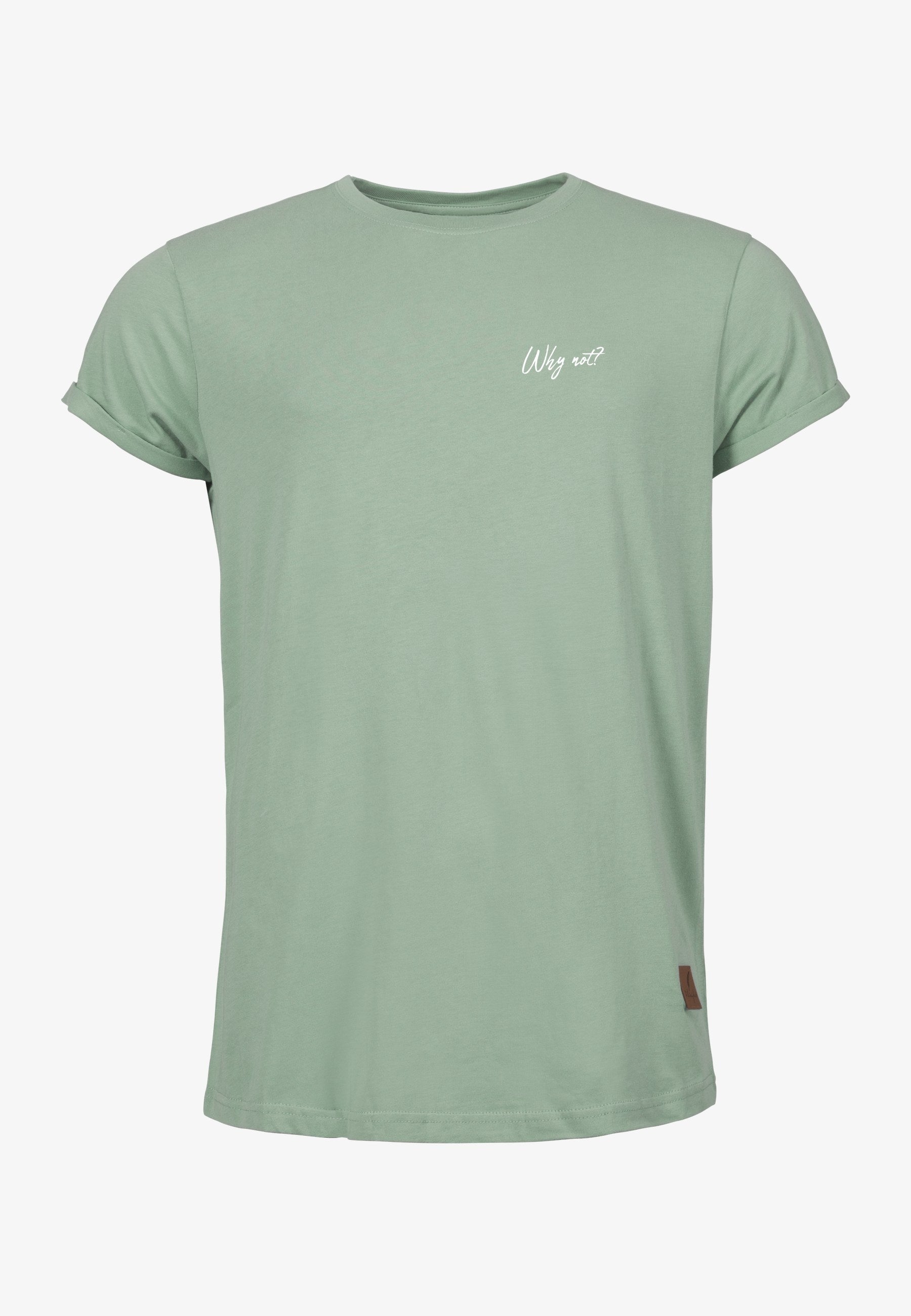 Color 309 - 0 - bts1-309-why-not.jpg