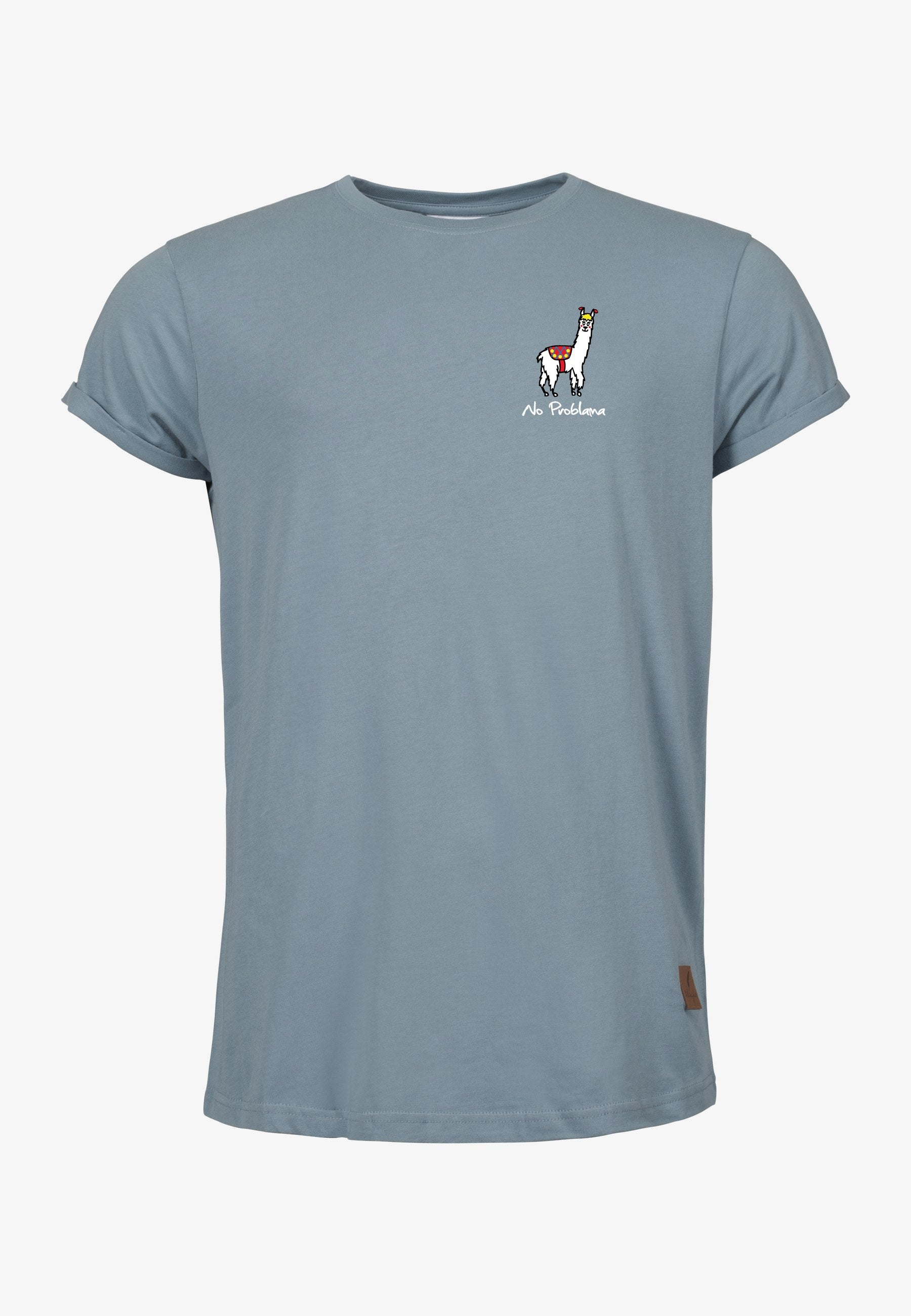 Color 325 - 0 - bts1-325-no-problama.jpg