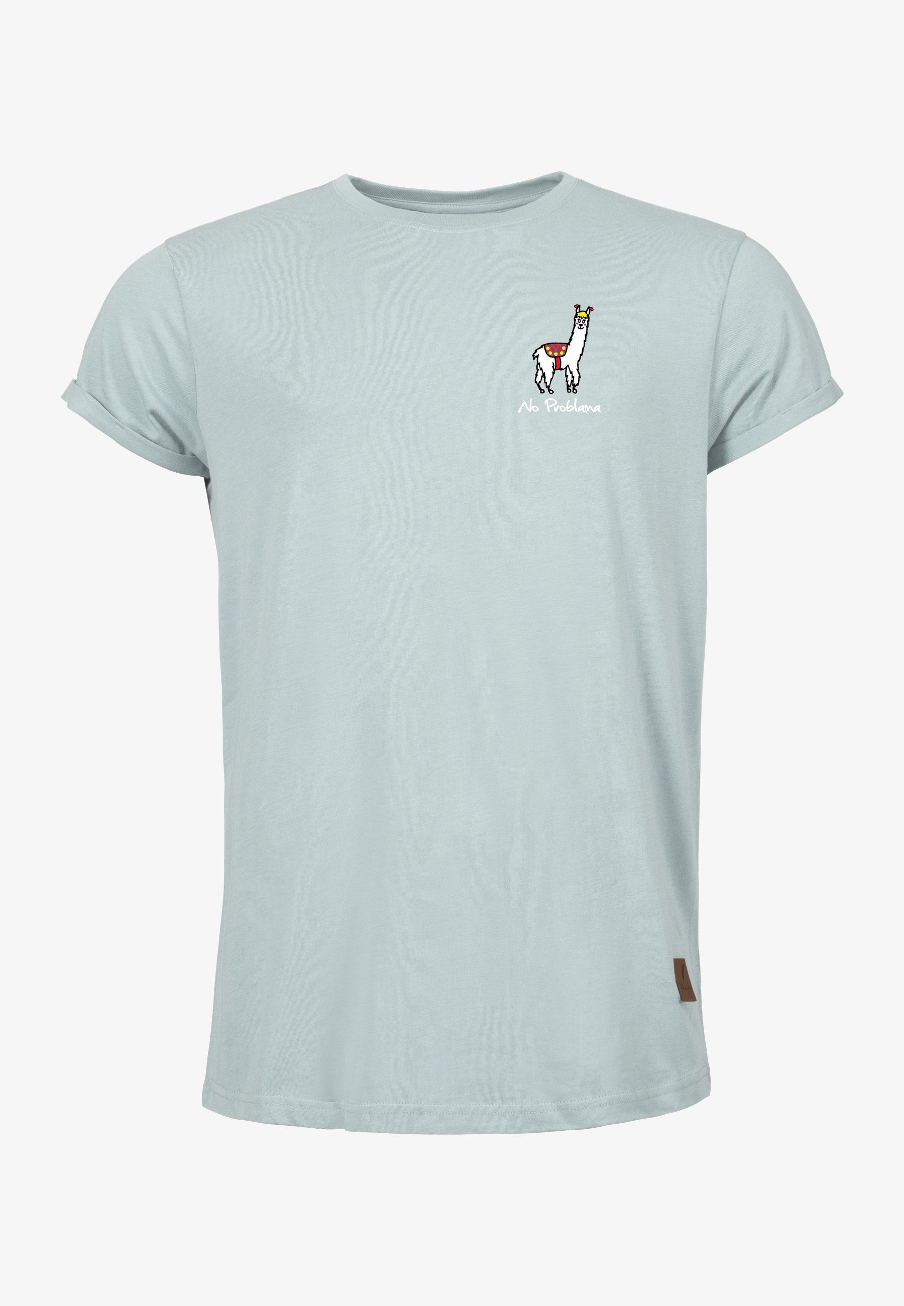 Color 374 - 0 - bts1-374-no-problama.jpg