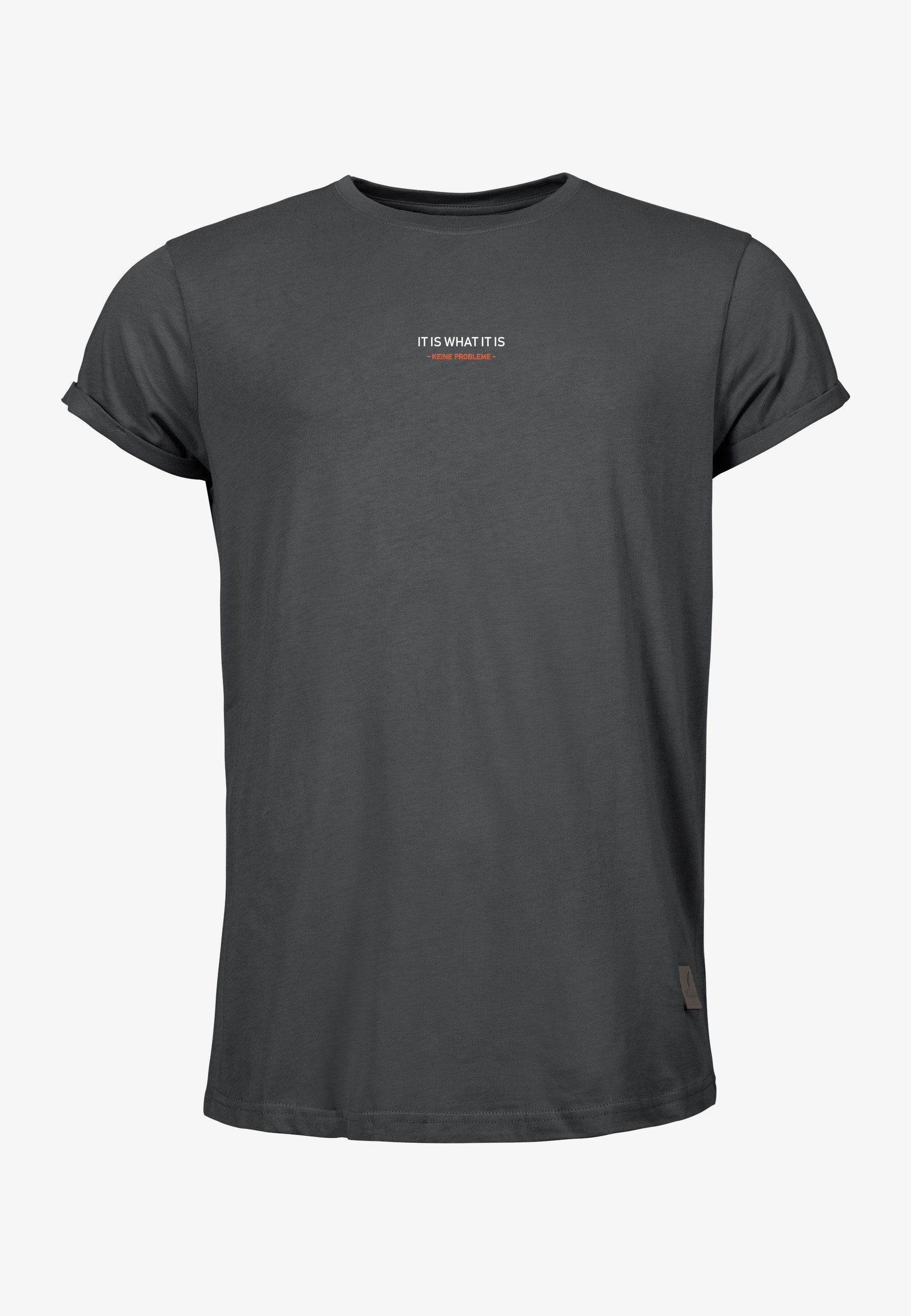 Color 517 - 0 - bts1-517-it-is-what-it-is.jpg