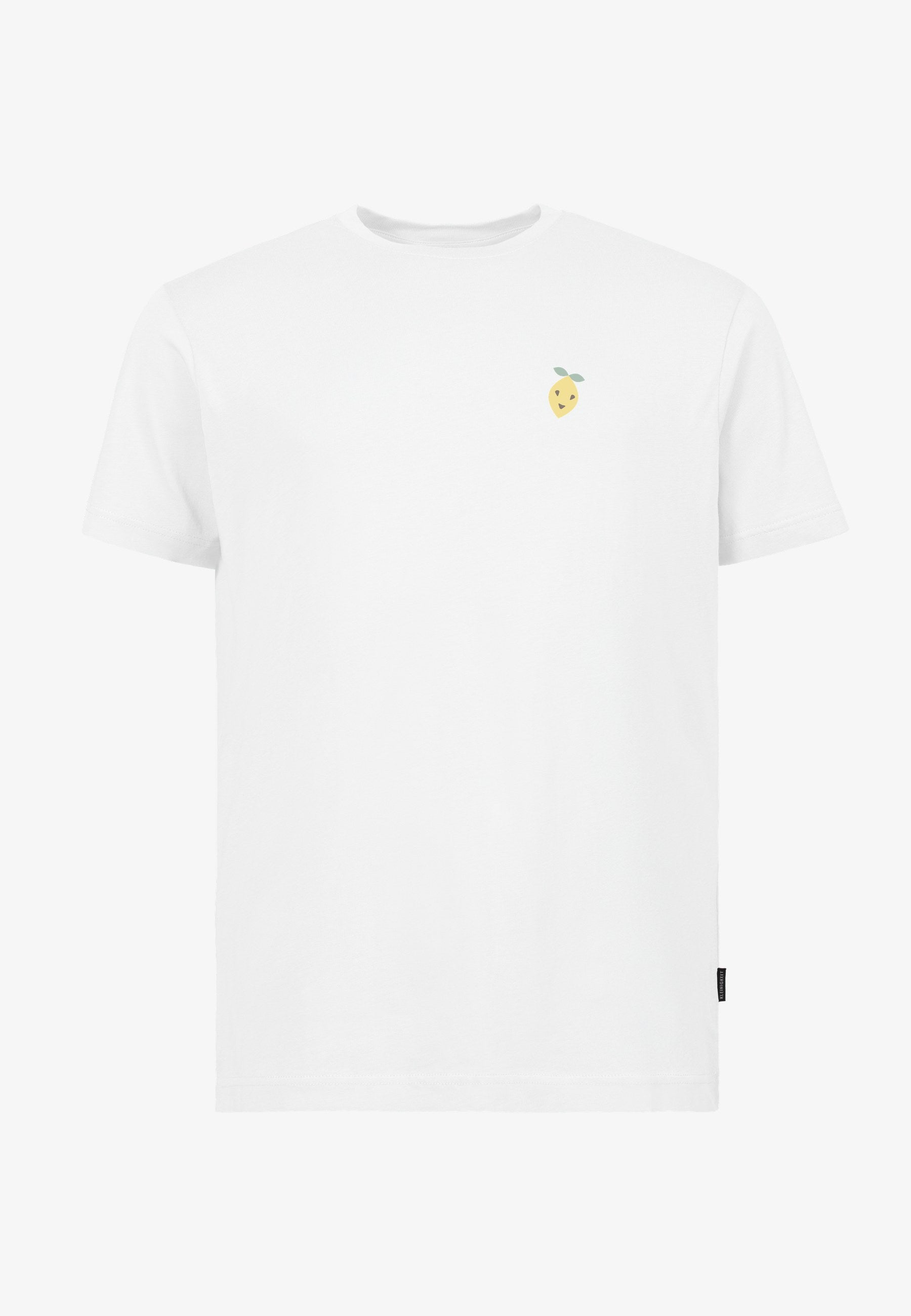 Color 010 - 0 - bts6-010-happy-lemon.jpg