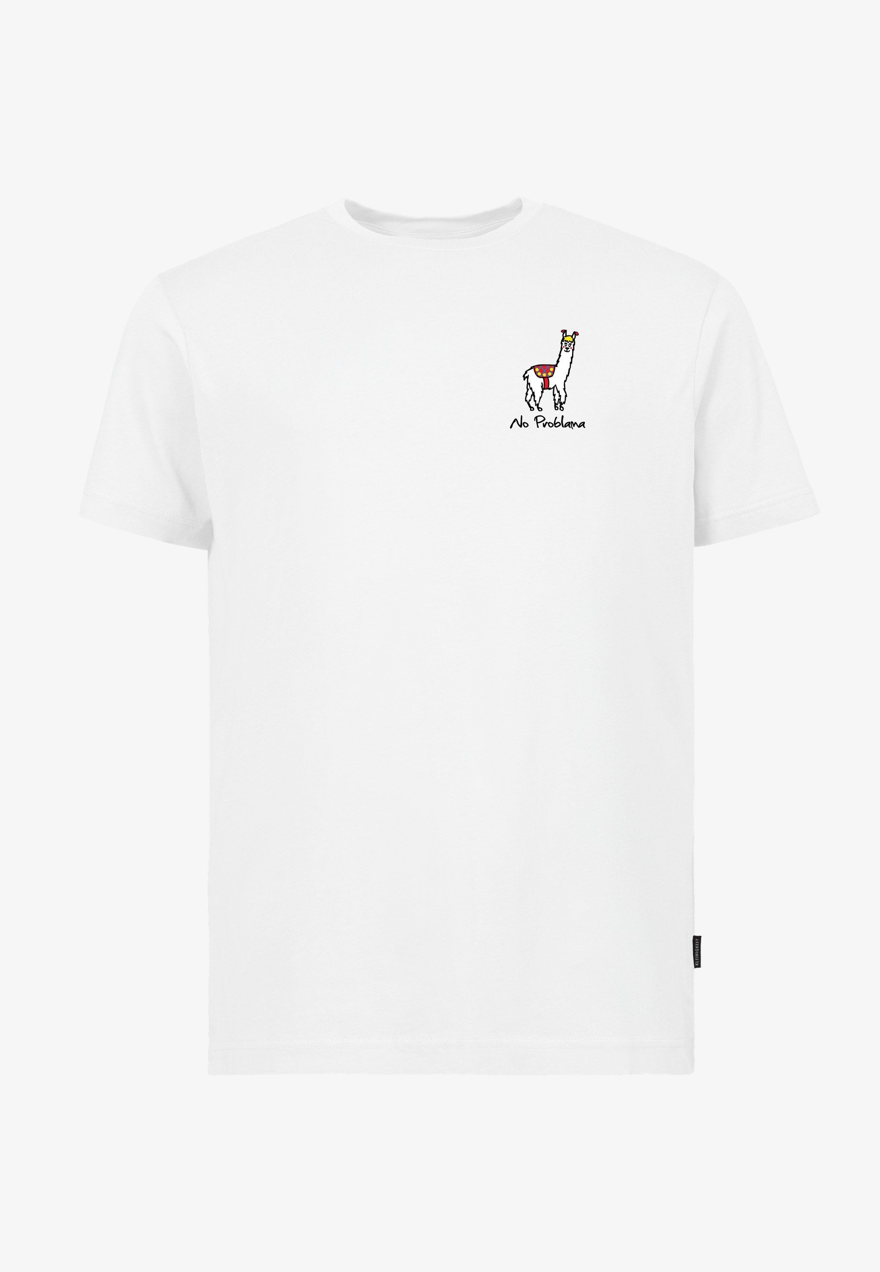 Color 010 - 0 - bts6-010-no-problama.jpg