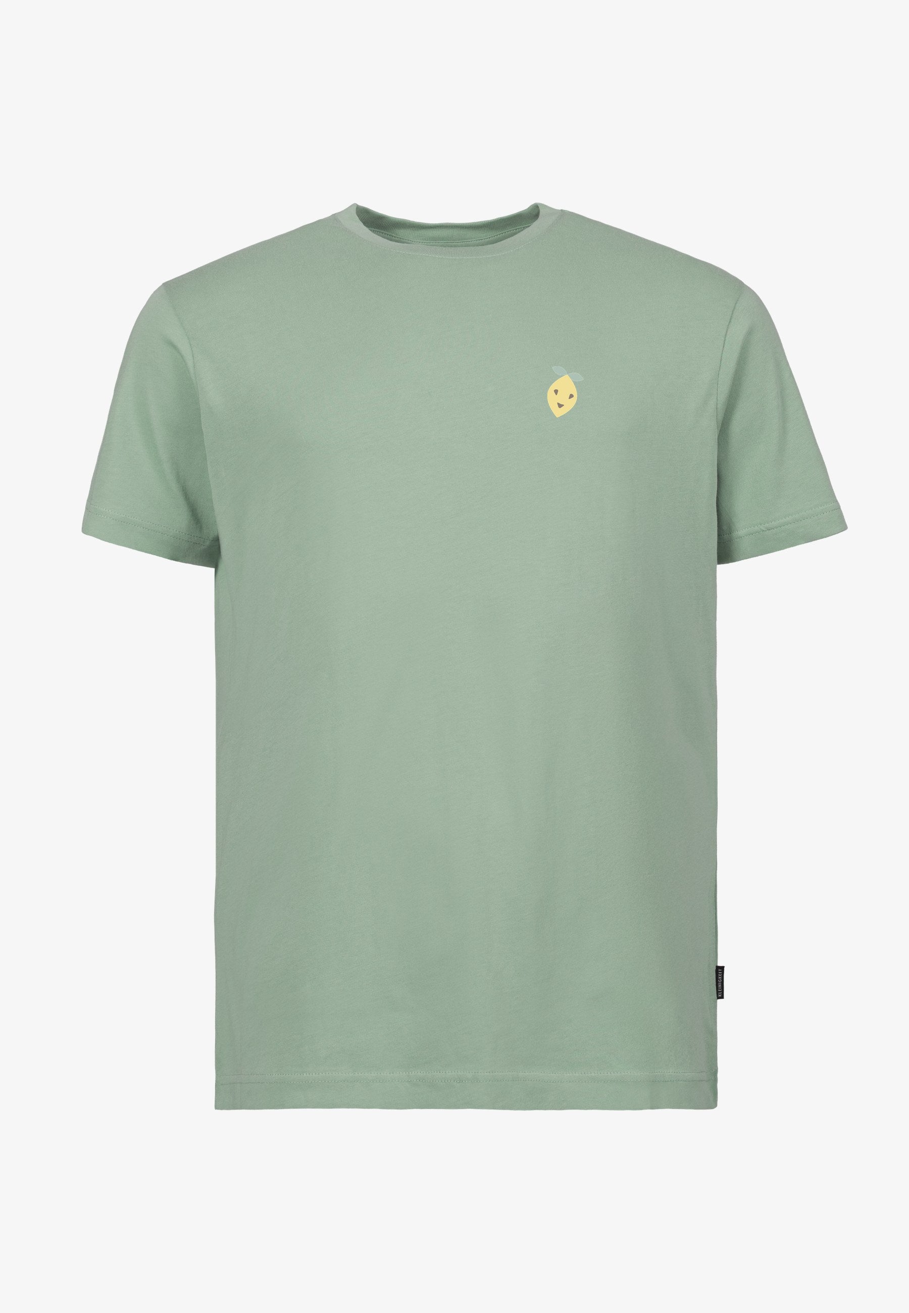 Color 309 - 0 - bts6-309-happy-lemon.jpg