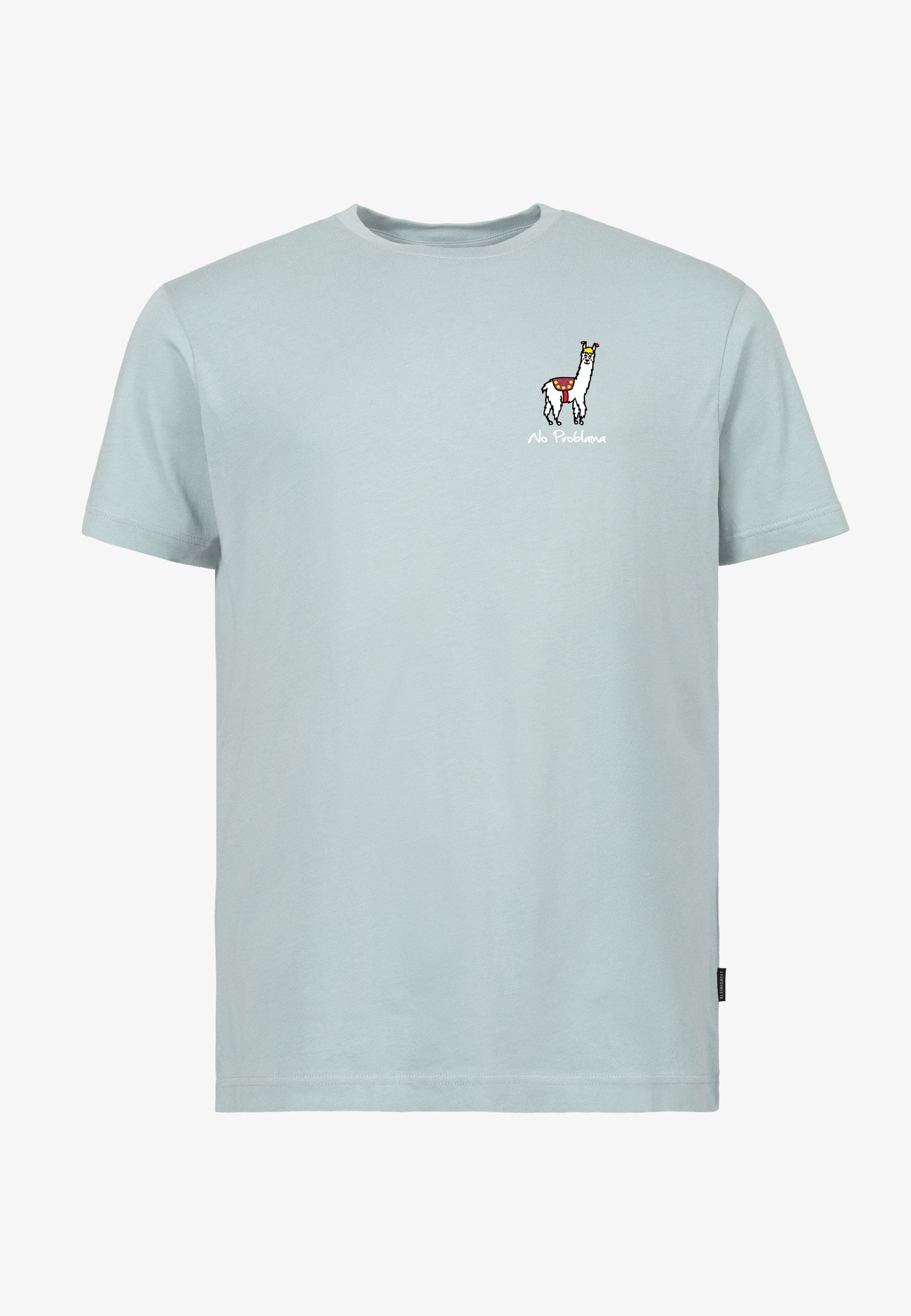 Color 374 - 0 - bts6-374-no-problama.jpg