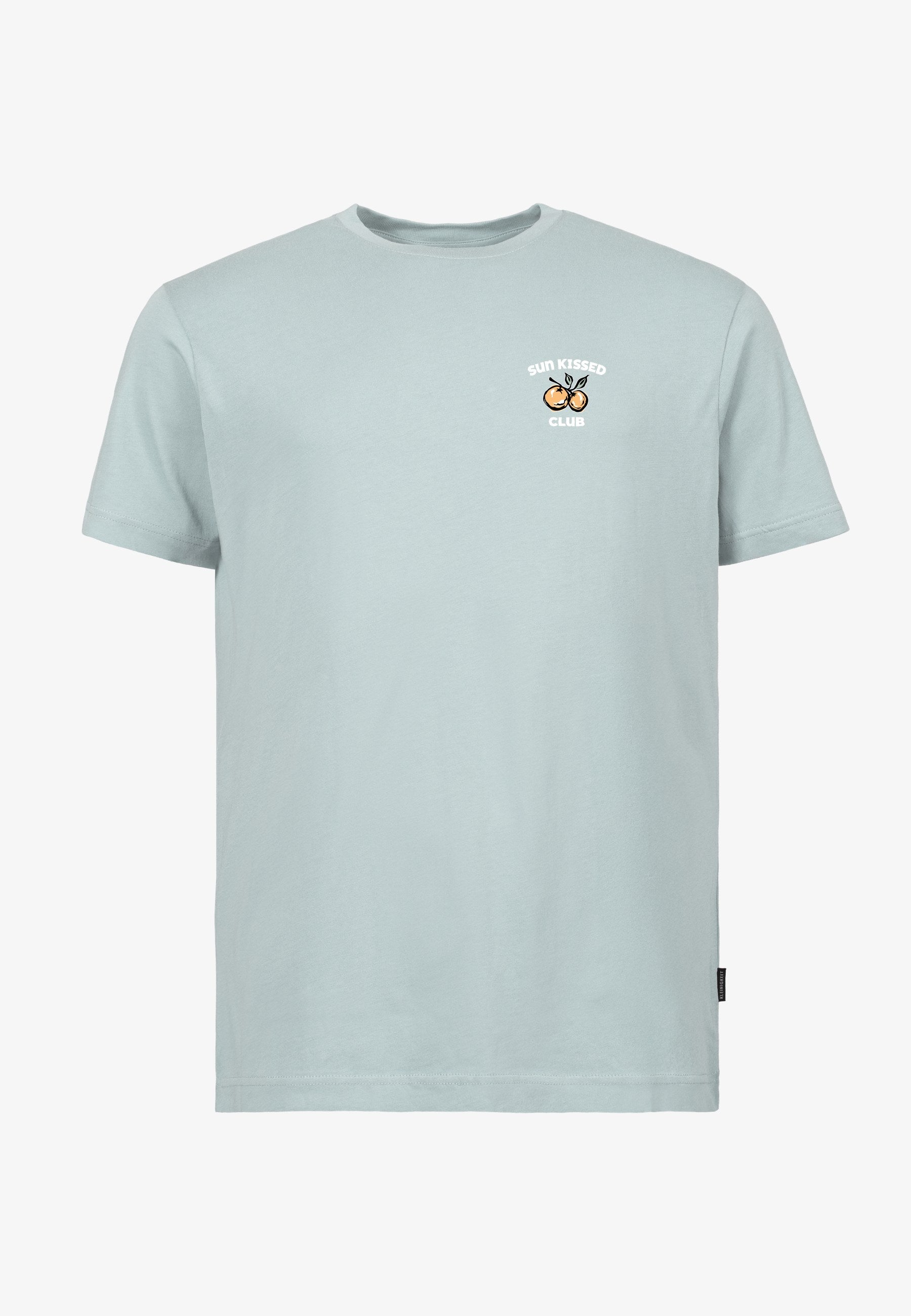 Color 374 - 0 - bts6-374-sun-kissed.jpg