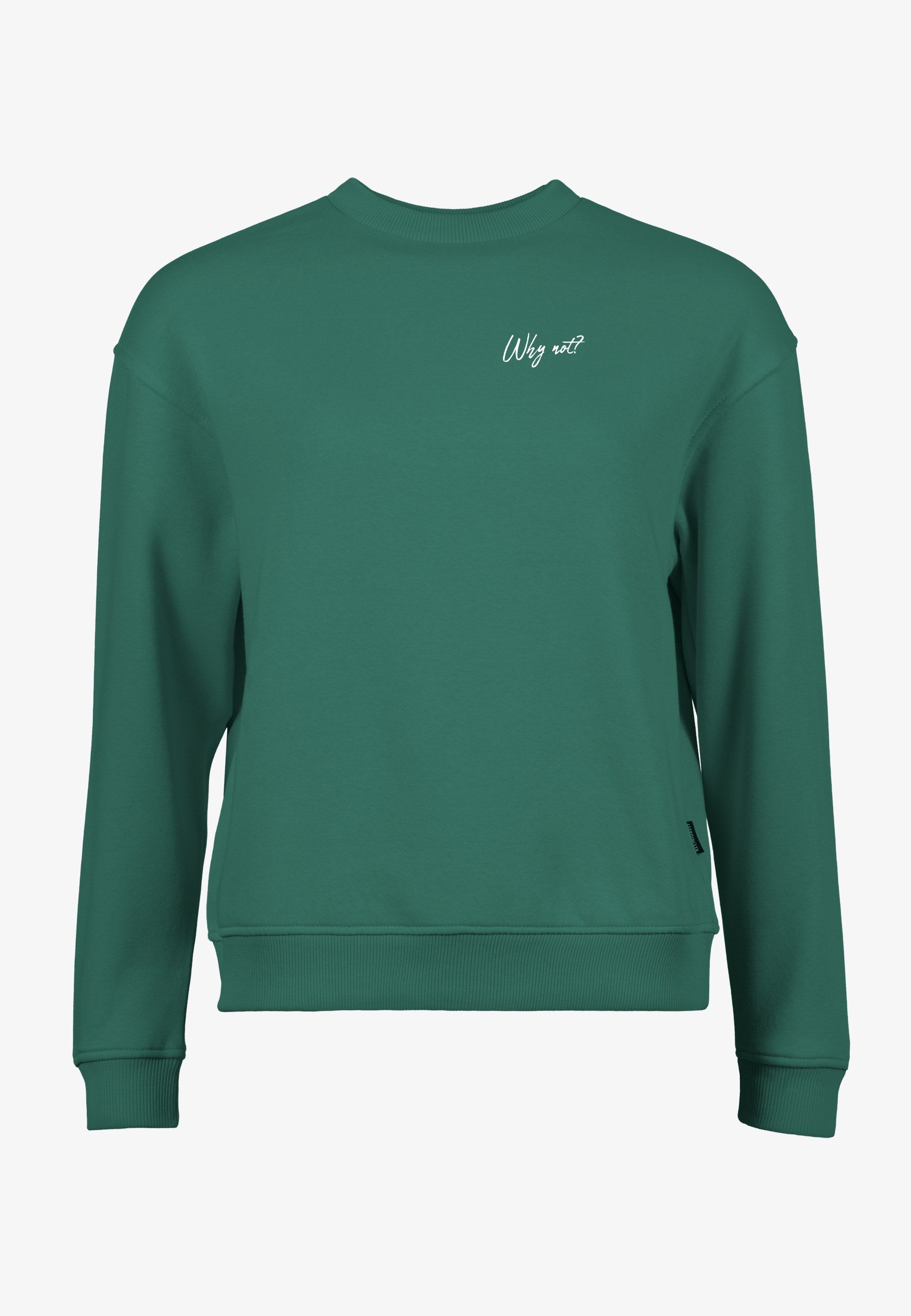 Color 041 - 0 - gcn3-041-why-not.jpg