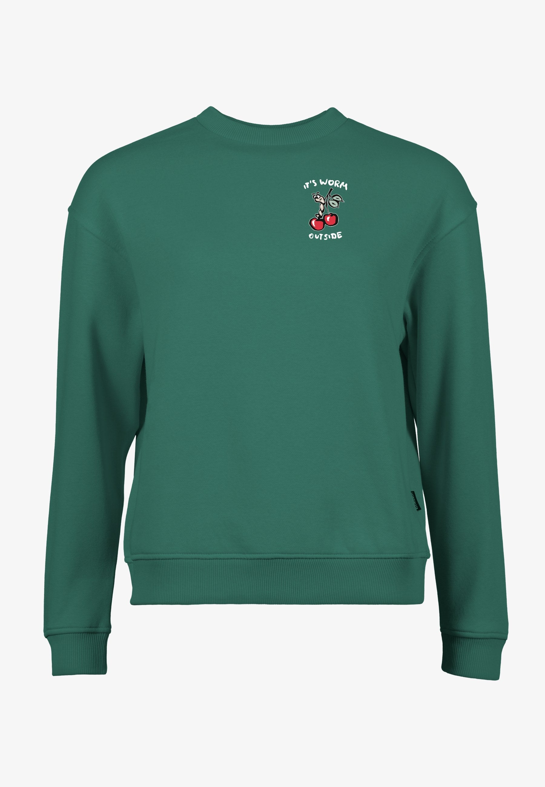 Color 041 - 0 - gcn3-041-worm-outside.jpg