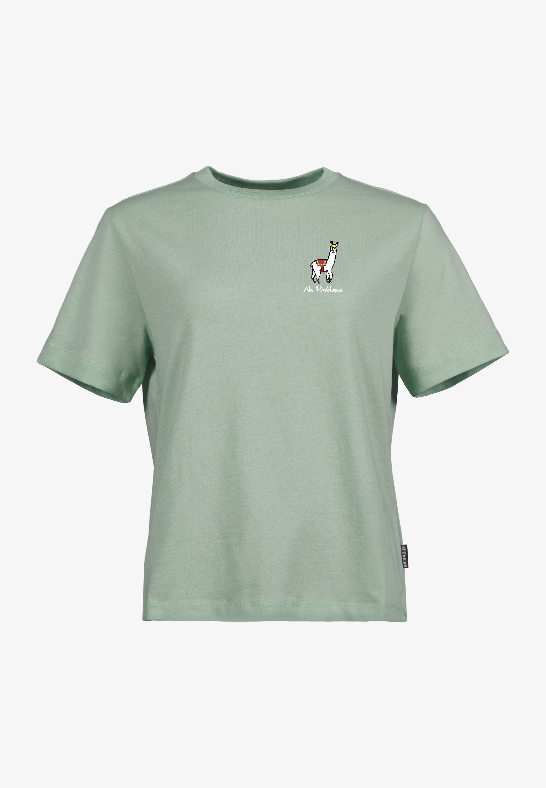 Color 309 - 0 - gts7-309-no-problama.jpg